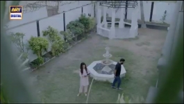 Naqaab - Last Episode - 18th May 2025